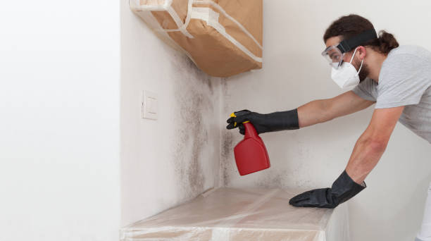 Professional Commercial Mold Remediation technician working in Morrisville, NY