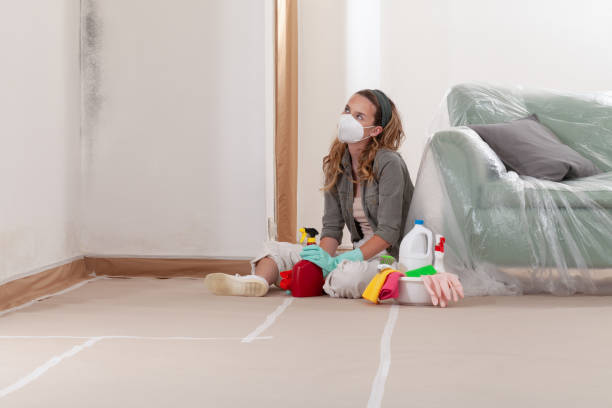 Reliable Commercial Mold Remediation contractor in Morrisville, NY by WQB Mold Removal